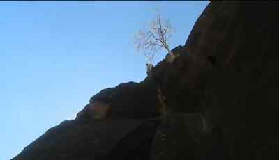 OK. What I have here a viper bufadora. - Man vs. Wild