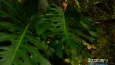 Ok
What I want to do with it - Man vs. Wild