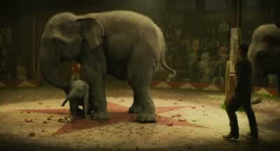 Okay, all right. - Dumbo