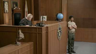 -Okay.
-And the pet snake
told me that - Gary Busey: Pet Judge