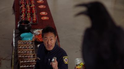 Okay, are you a good omen
or a bad omen? - 9-1-1