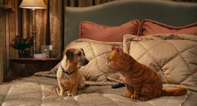 Okay blockhead time to bust out of here - Garfield: A Tail of Two Kitties
