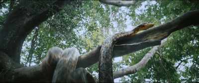 Okay,
bring in Test 15. - Anaconda