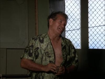 OKAY, BROTHER,
I NO HASSLE YOU. - Hawaii Five-0