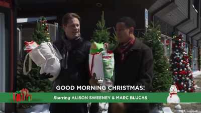 Okay, but for how long? - A Christmas Tree Grows in Colorado
