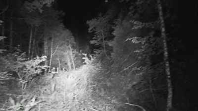 -Okay.
-[cameraman speaking] - Expedition Bigfoot