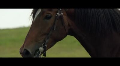 Okay, come on. Diamond, let's go. - Heartland