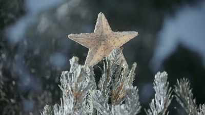 Okay, "dazzling" is admittedly a
bit much. - Christmas Keepsake