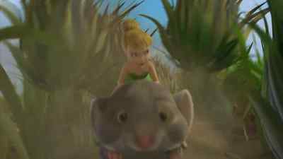 Okay, definitely more than eight. - Tinker Bell