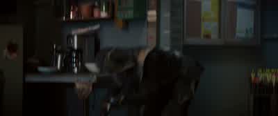 Okay. Do not destroy this apartment. - Hawkeye
