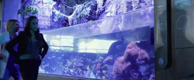 Okay, everything is locked down, - Aquarium of the Dead
