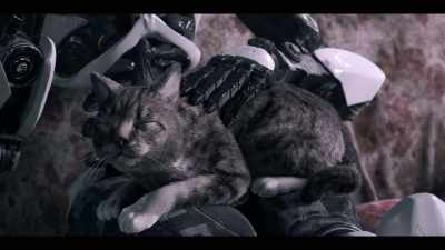 - Okay, fine.
- [cat purrs] - Love & Death