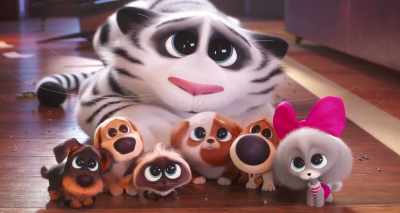 Okay, fine. One night. - The Secret Life of Pets 2