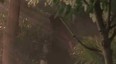 Okay. Great. - Relic Hunter
