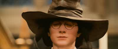 Okay. Gryffindor! - Harry Potter and the Philosopher's Stone
