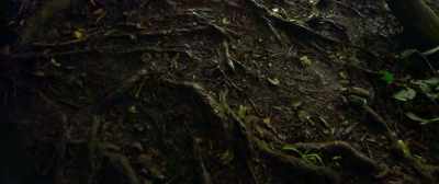 Okay, so how do we calculate linear 
acceleration between points A and B? - Singularity