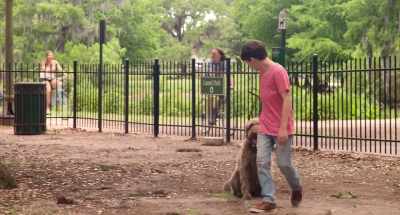 Okay. I got you. Check this. - Think Like a Dog