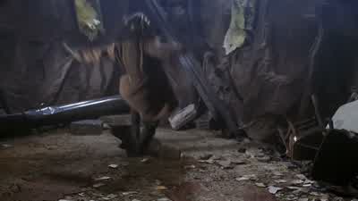 Okay, I guess I won. - Buffy the Vampire Slayer