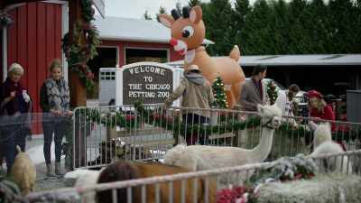 Okay, so I just talked
to the zookeeper, - Random Acts of Christmas