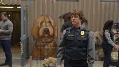 Okay. I know
it's a big decision, - Animal Control