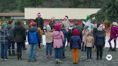 Okay, I need everyone - We Need a Little Christmas