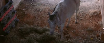 Okay, so I was reading the section
about granting wishes and stuff, - Sparkle: A Unicorn Tale