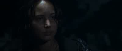 Okay. I'll stay. - The Hunger Games