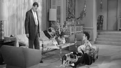 Okay, I'll walk your dogs. - Jailhouse Rock