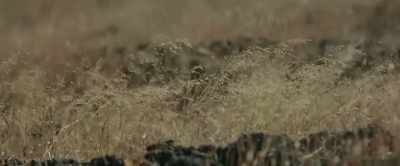Okay.. - It isn't serious.
They just exaggerated it. - Thondimuthalum Driksakshiyum