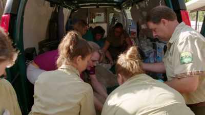 Okay, IV ketamine 200 milligrams going in. - Magic of Disney's Animal Kingdom