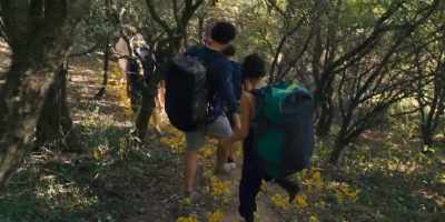 Okay, Josh, I actually
have an uncle with Lyme. - Midsommar