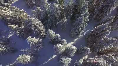 Okay, just promise me - Christmas Wonderland