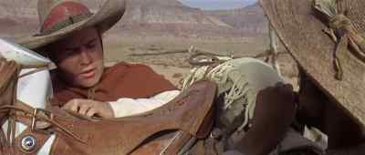 Okay, kid, - The Appaloosa