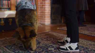 Okay, ladies, that's all
the forensics fun for today! - Jazz Ramsey: A K-9 Mystery