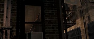 Okay Leo l'll bite What are we doing up here - TMNT