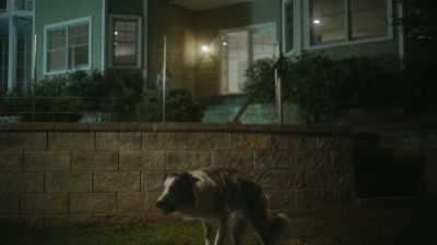 Okay, let's find a good spot. - Junkyard Dogs