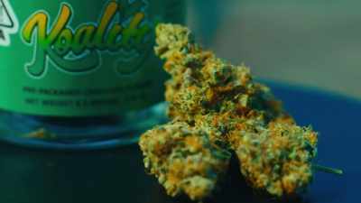 - Okay, let's get there - Wake & Bake with Dom Brown