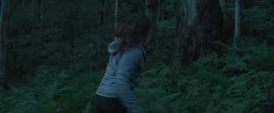 -Okay, let's go north. - Force of Nature: The Dry 2
