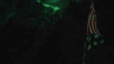 Okay, so looks like just no genitals. - Graveyard Shark