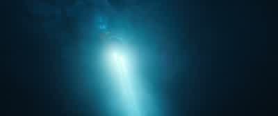 Okay, Mac. - The Meg