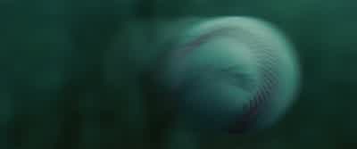 Okay, now I see why you need the thunder. - Twilight