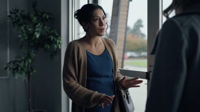- Okay, okay,
I'll tell you everything, - The Pregnancy Scheme