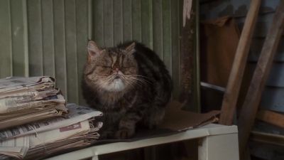 Okay okay - Cats &amp; Dogs: The Revenge of Kitty Galore