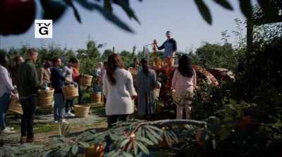 Okay, on my go, - Love Under the Olive Tree