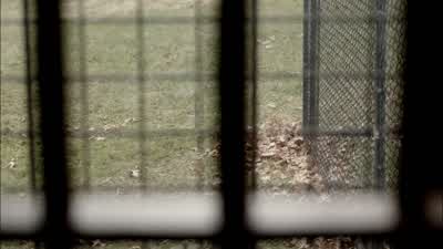 Okay, Piper? - Orange Is the New Black