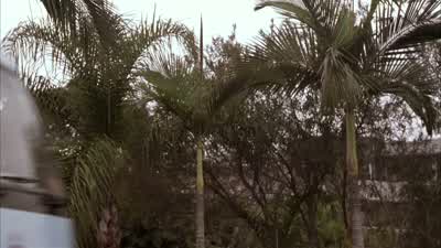 Okay, pull over. - Shaolin Soccer