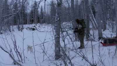 Okay, ready?
Hold up, Sips. - Life Below Zero: Next Generation