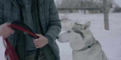 Okay, ready, okay? - The Year of the Dog