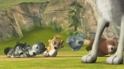 Okay Roll overs Come on - Alpha and Omega 3: The Great Wolf Games