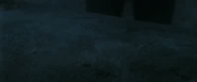 Okay, Ron. - Harry Potter and the Deathly Hallows: Part 1